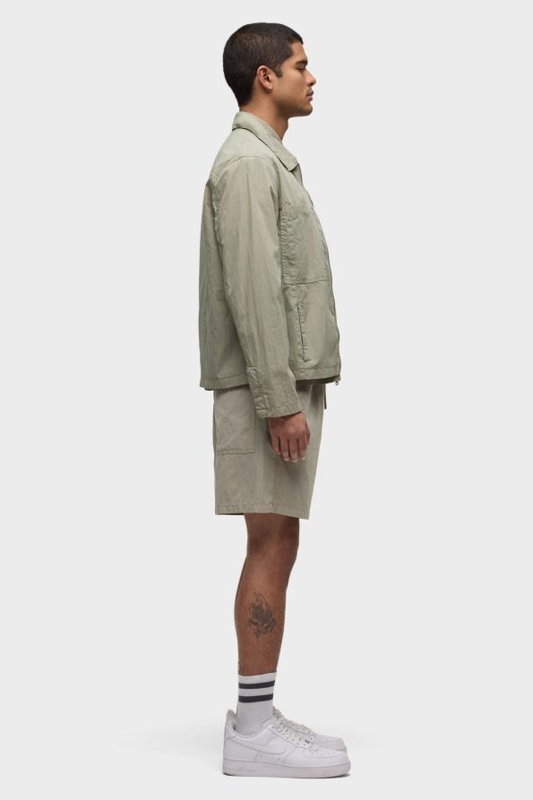 je8cau2336_cactus_h